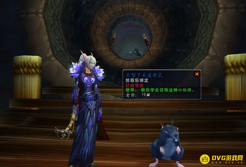 《魔兽世界》好大的老鼠成就获取攻略