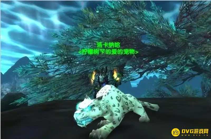 《魔兽世界》TBC猎人稀有宠物