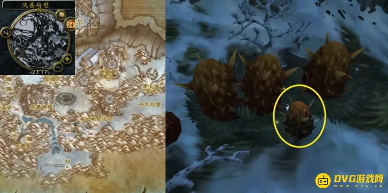《魔兽世界》维拉努斯任务攻略