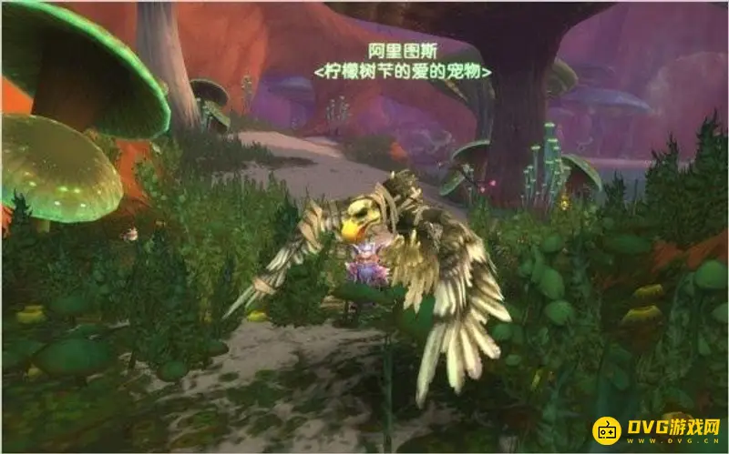 《魔兽世界》70级宠物选择
