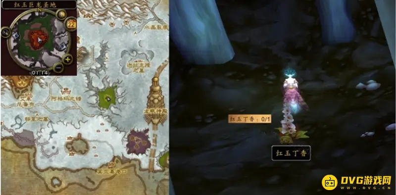 《魔兽世界》红玉丁香任务攻略