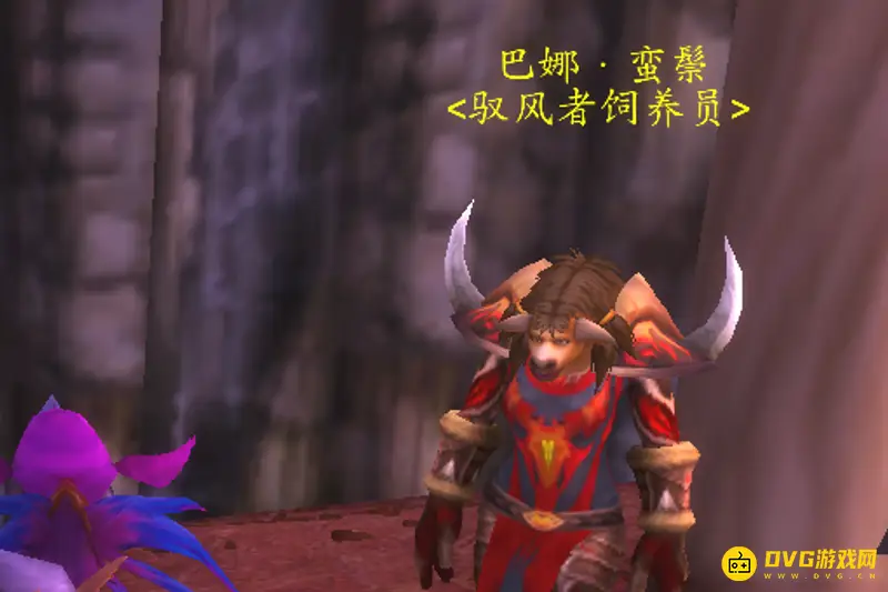 《魔兽世界》大鸟购买指南