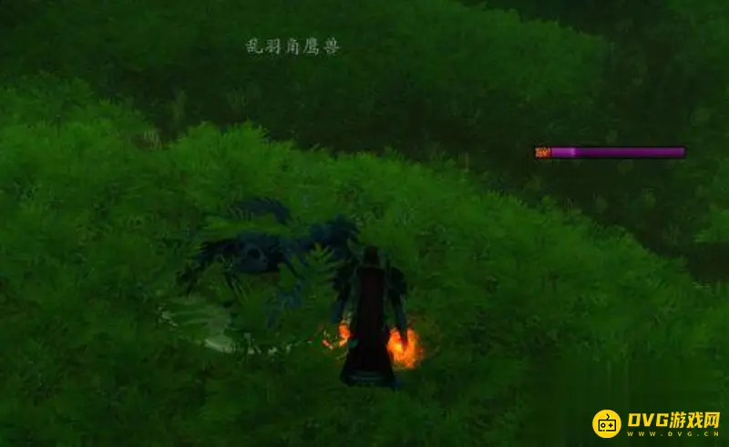 《魔兽世界》雄鹰精华获取攻略