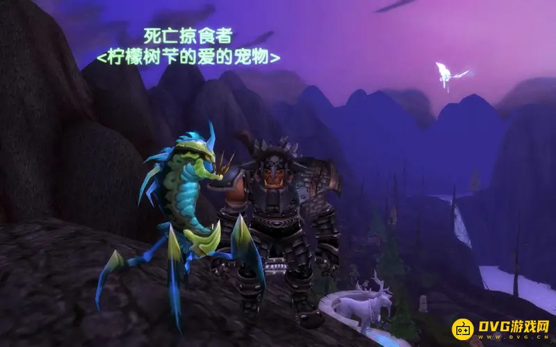 《魔兽世界》70级宠物选择