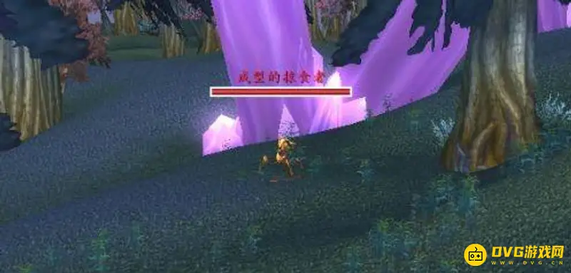 《魔兽世界》tbc猎人70级掠食者抓捕指南