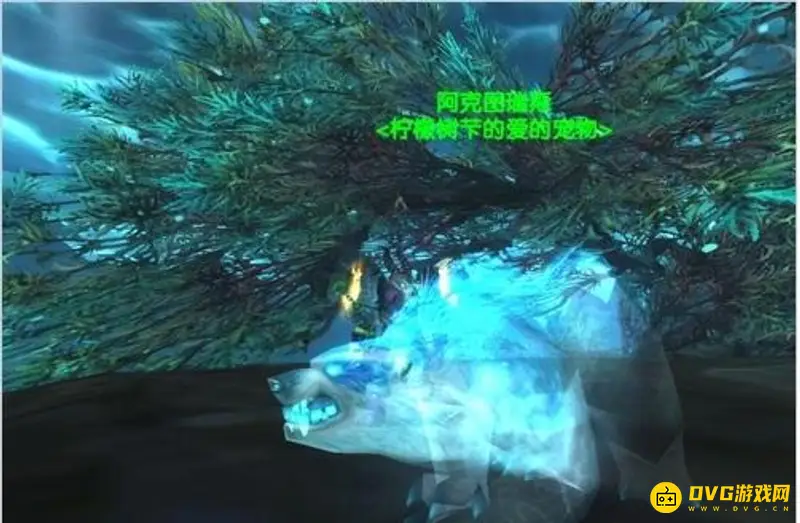 《魔兽世界》TBC猎人稀有宠物