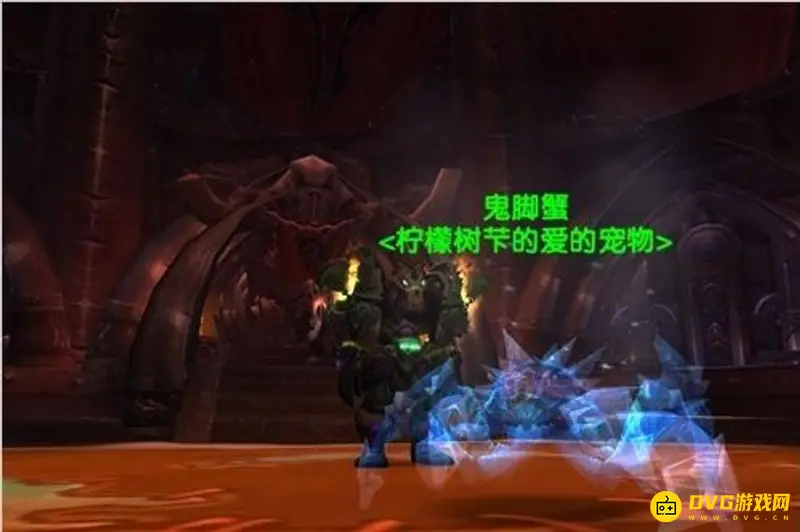 《魔兽世界》TBC猎人稀有宠物