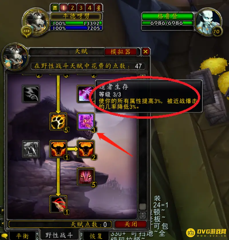 《魔兽世界》TBC熊T属性要求