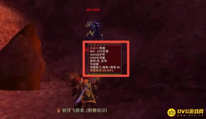 《魔兽世界》正式服猎人玩法