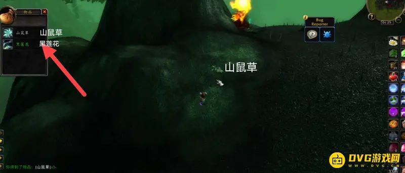 《魔兽世界》轮回服草药伴生黑莲花解析