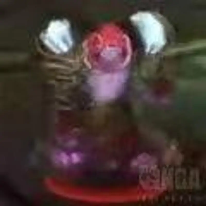 《魔兽世界》毒蛇神殿通关攻略