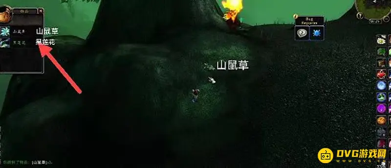 《魔兽世界》赛季服伴生黑莲花获取