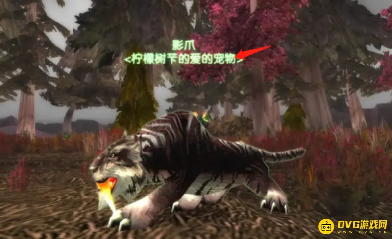魔兽世界猎人和宠物名字创意分享