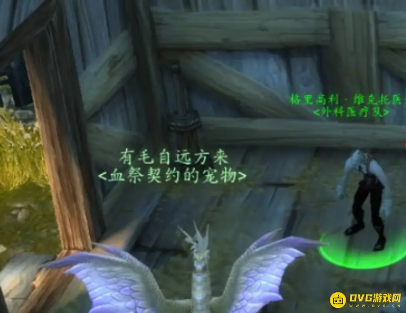 《魔兽世界》灵纹布绷带在哪学-阿拉希高地格里高利医生位置详解