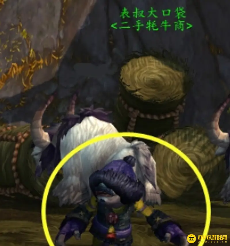 魔兽世界表叔大口袋位置详解