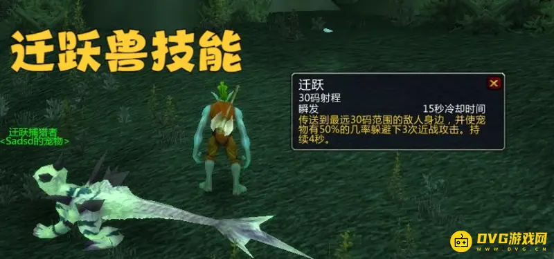 魔兽世界生存猎人宠物选择