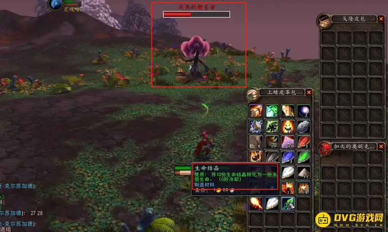 《魔兽世界》的永恒生命在哪刷