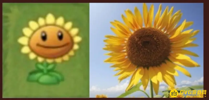 《植物大战僵尸》中的植物原型解析