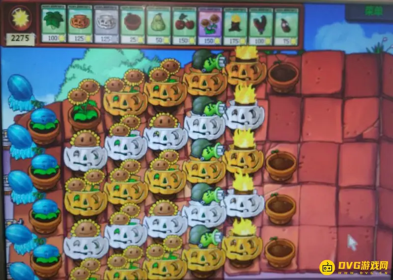 《植物大战僵尸》生存模式屋顶困难通关攻略