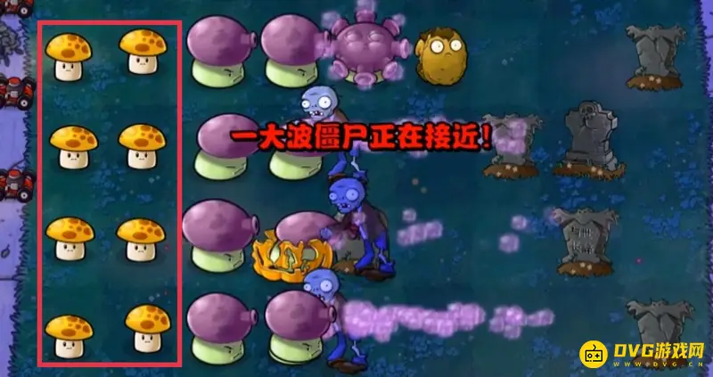 《植物大战僵尸》夜晚用蘑菇还是向日葵