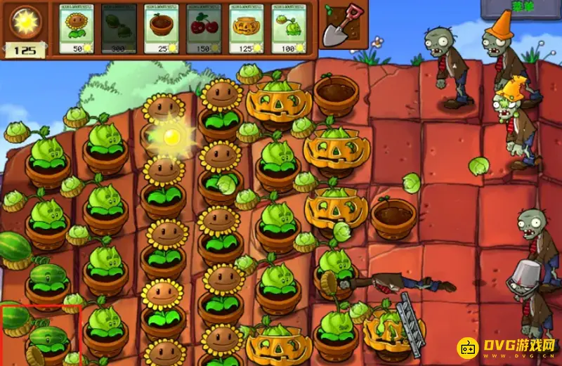 《植物大战僵尸》5