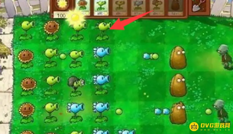 《植物大战僵尸》机枪射手进化攻略