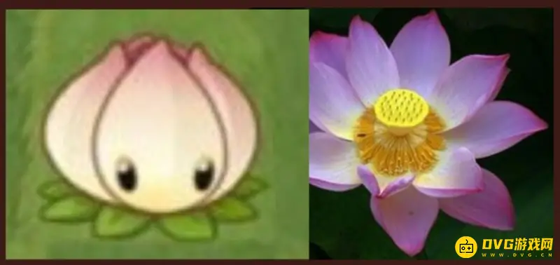 《植物大战僵尸》中的植物原型解析