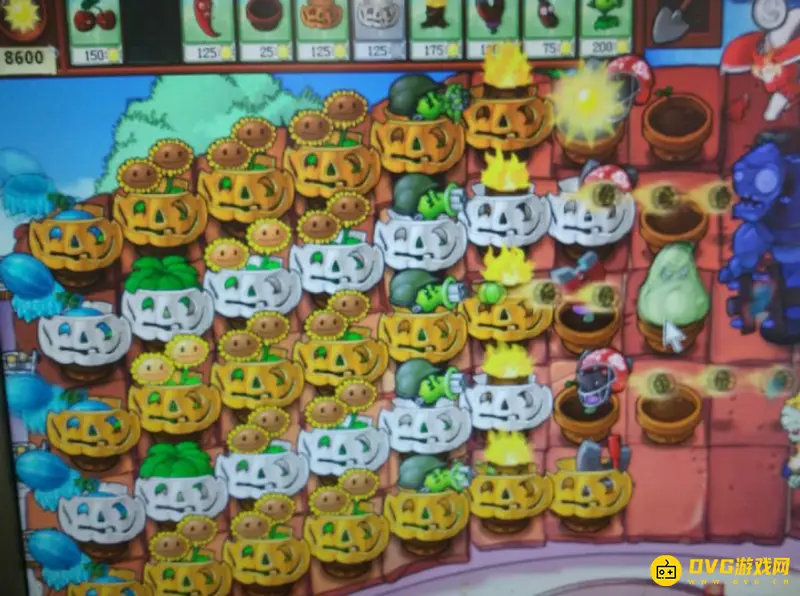 《植物大战僵尸》屋顶困难模式攻略