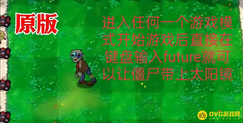《植物大战僵尸》代码输入方法详解