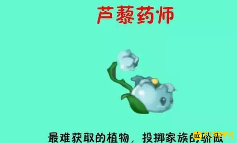 《植物大战僵尸》五阶植物伤害排名详解