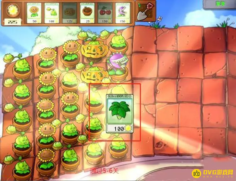 《植物大战僵尸》5