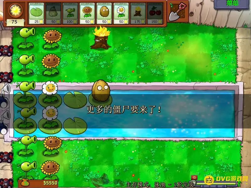 《植物大战僵尸》生存泳池无限关打法详解