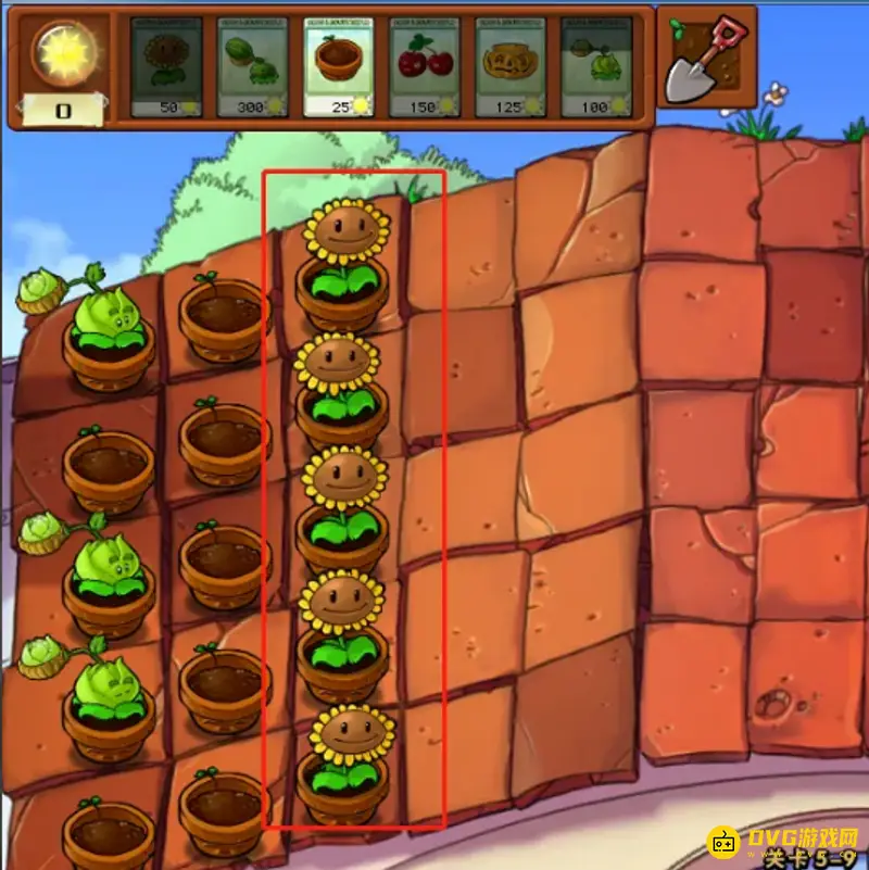 《植物大战僵尸》5