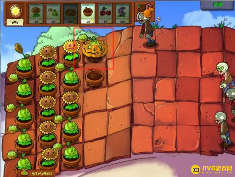《植物大战僵尸》5