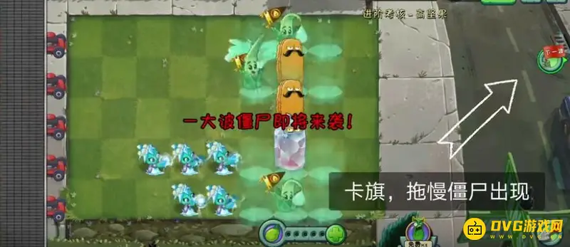 《植物大战僵尸》高坚果进阶考核攻略
