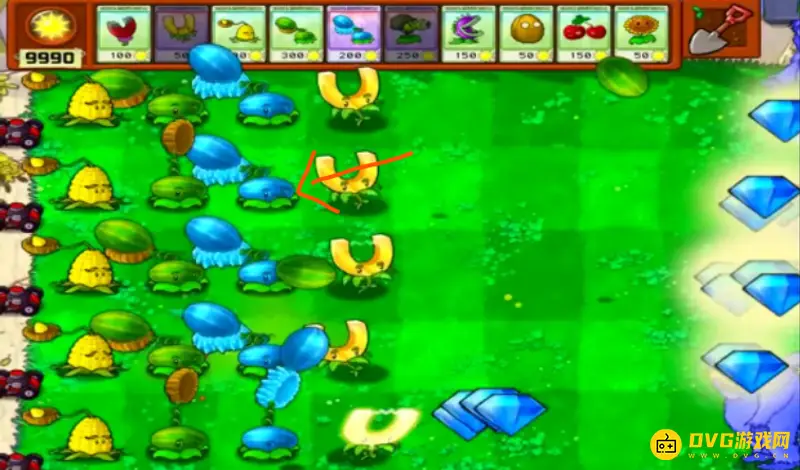 《植物大战僵尸》紫卡植物排名