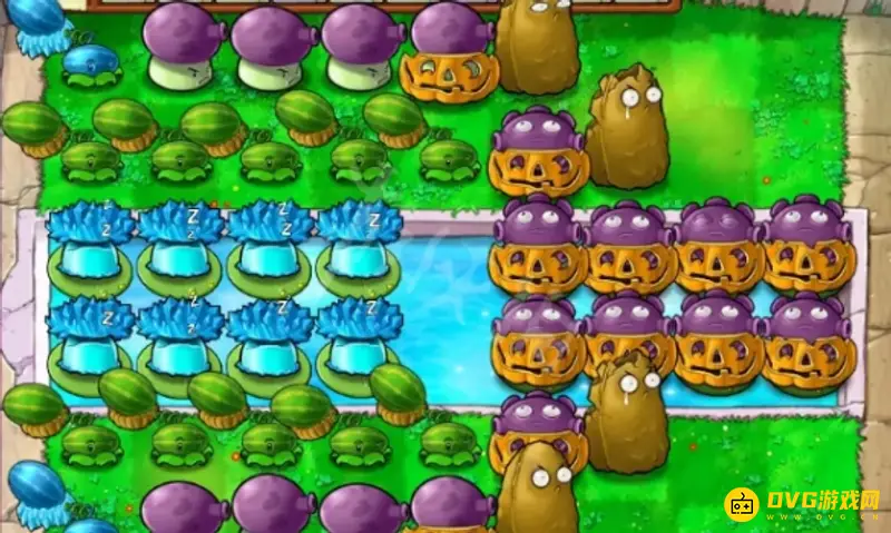 《植物大战僵尸》坚不可摧植物搭配推荐
