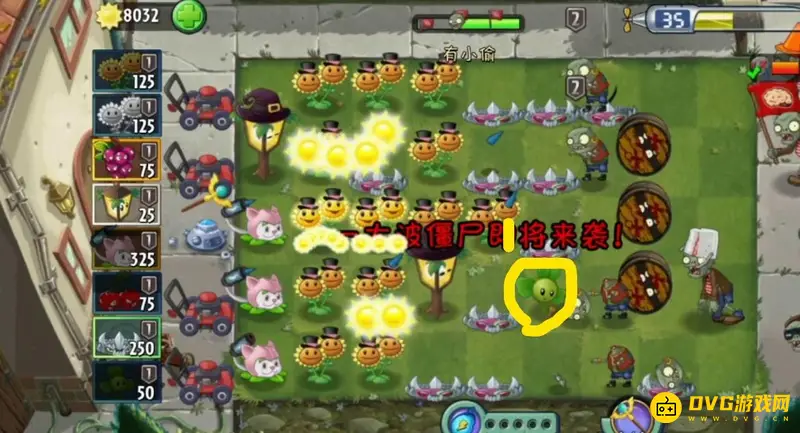 《植物大战僵尸》滚筒危机通关攻略