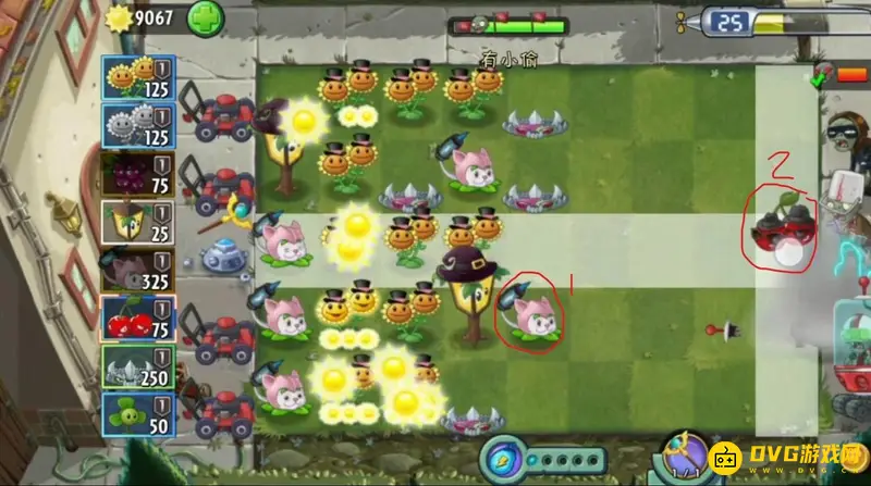 《植物大战僵尸》滚筒危机通关攻略