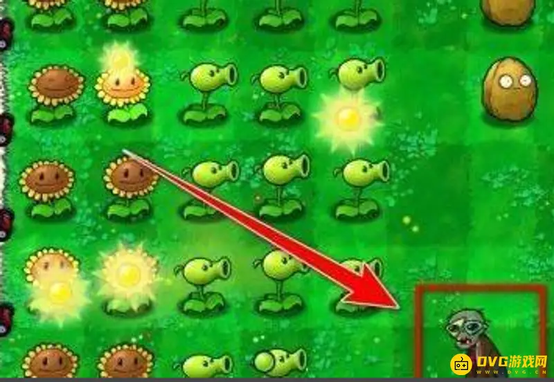 《植物大战僵尸》秘籍输入方法详解