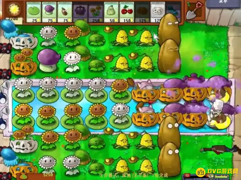 《植物大战僵尸》泳池无限关卡攻略