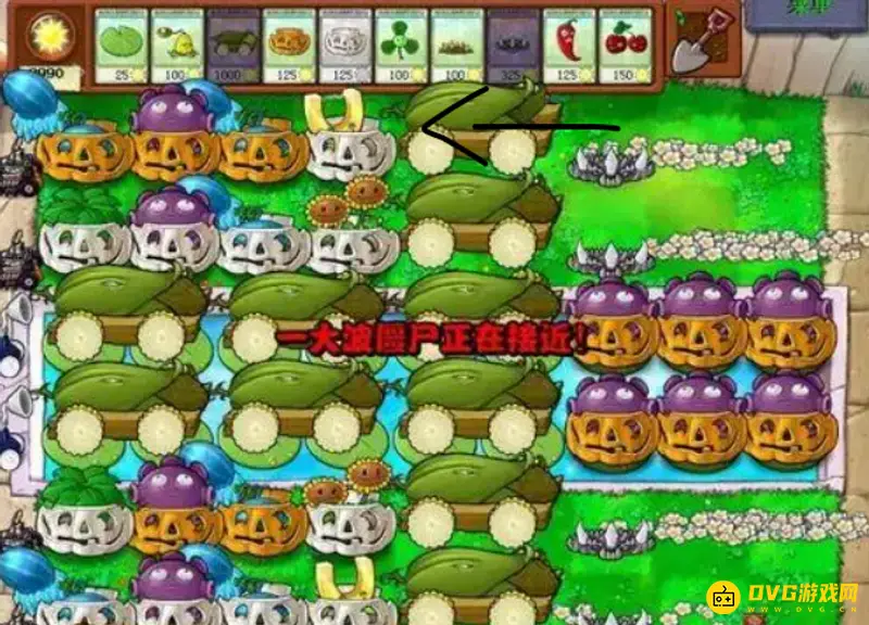 《植物大战僵尸》紫卡植物排名