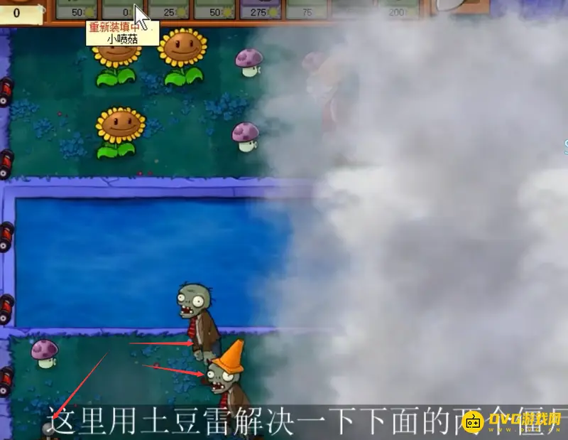 《植物大战僵尸》快速游戏4