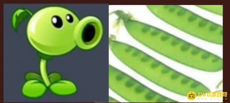 《植物大战僵尸》中的植物原型解析