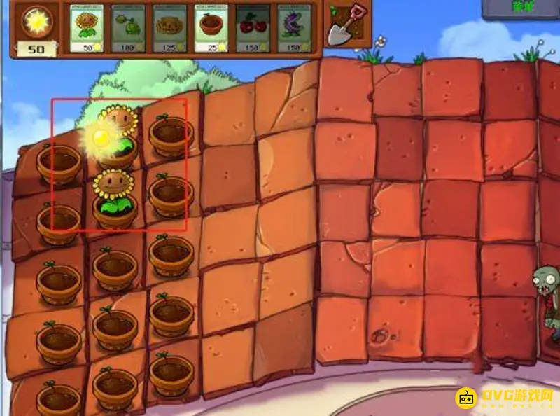 《植物大战僵尸》5