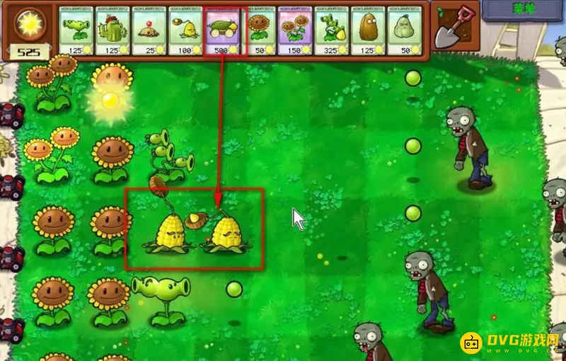 《植物大战僵尸》玉米加农炮种植方法详解