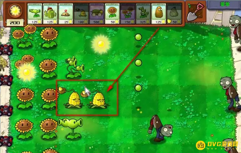 《植物大战僵尸》玉米加农炮种植方法详解
