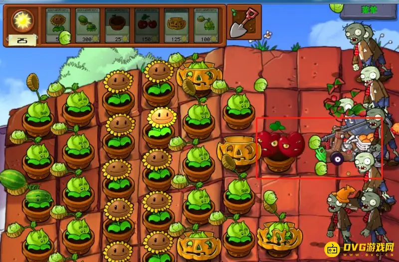 《植物大战僵尸》冒险模式5