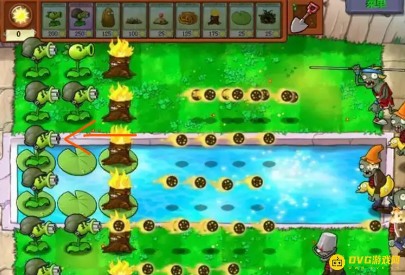 《植物大战僵尸》紫卡植物排名