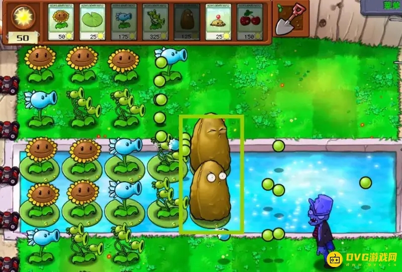 《植物大战僵尸》支线3